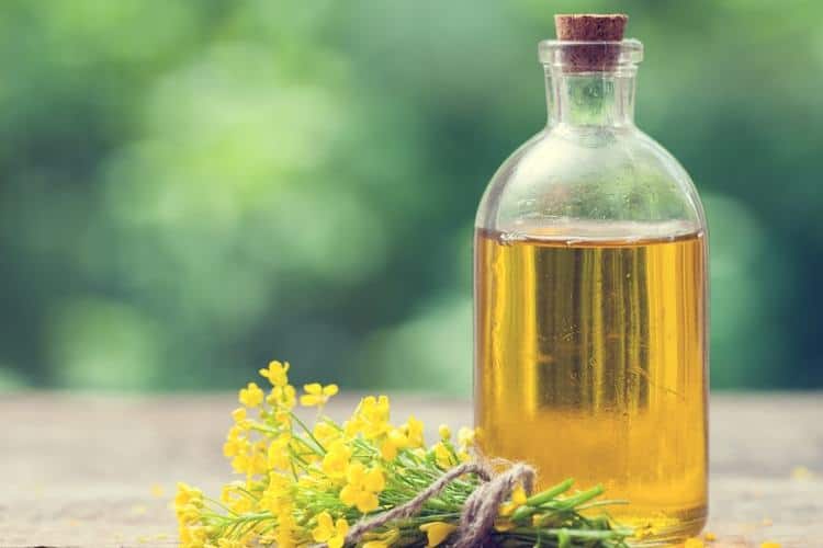 excess weight gain canola oil
